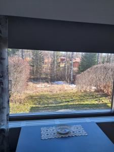 a window with a view of a yard at Koivulehto in Heinävesi