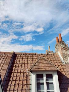 a roof with two chimneys on top of a building at Passage des arts - Vieux Lille - 2 personnes in Lille