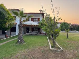 a house with two palm trees in the yard at Halkidiki in Skala Fourkas