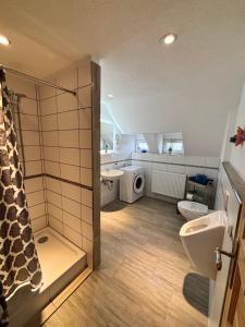 a bathroom with a shower and a toilet and a sink at Ferienwohnung Elbbrise in Riesa