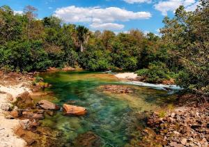 a river with green water and trees in the background at Casa em Aurora do Tocantins in Manhã +5 photos