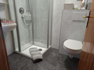 a bathroom with a shower and a toilet and a sink at Ferienhof Kühberg mit schönstem Panoramablick in Blaichach +12 photos
