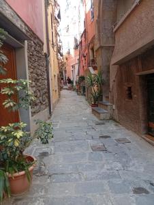 an alley in an old building with plants on it at Appartamento rosso blu in Vernazza