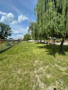 a park with a tree and a playground at Chaty oddych pri vode, aj pre rybárov in Veľké Úľany