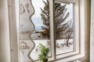 a window with a view of a snow covered field at Englendingavík Homestay in Borgarnes