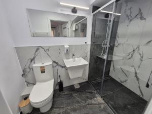 a bathroom with a toilet and a sink at Central Suites Targu Mures in Târgu-Mureş +9 photos