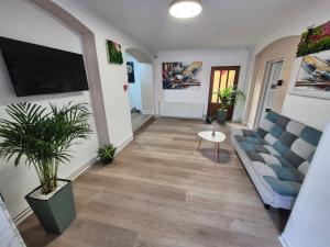 a living room with a couch and a tv at Central Suites Targu Mures in Târgu-Mureş