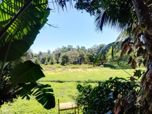 a park bench sitting in a field of grass at Tha Ivory villa in Nattarampota