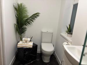a bathroom with a toilet and a plant in it at Hillcrest House Holiday Suites in Donegal +41 photos