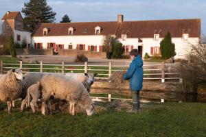 a woman standing next to a fence with sheep at Écodomaine le Vérin, Gîtes et spa - Mer, Nature & Confort - Côte d'Opale in Wierre-Effroy