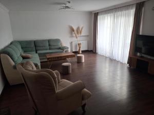 a living room with a couch and a television at Villa Acer in Novi Sad