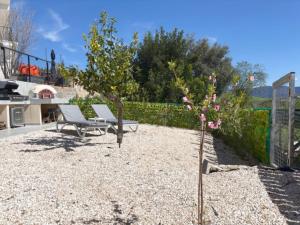 a garden with two chairs and a tree at St Visianos stone house in Philousa