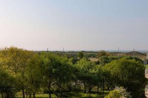 a group of trees with a field in the background at Casiola - Comfortable Apartment with Scenic Views in De Haan