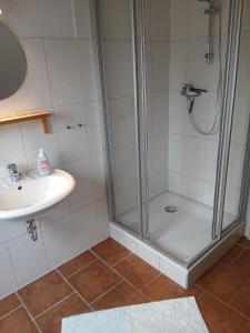 a bathroom with a shower and a sink at Kranich in Wieck +6 photos