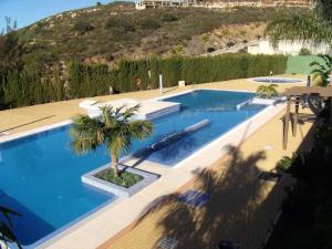 a large swimming pool with a palm tree in it at Anitas Seaview Paradise in La Línea de la Concepción