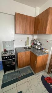 a small kitchen with a sink and a stove at Zangem BnBs in Ruiru +6 photos