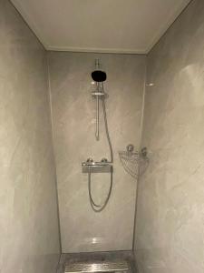 a shower with a shower head in a bathroom at 't Meuleveld in Harskamp +7 photos