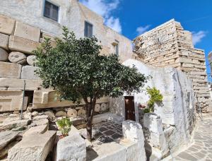 a stone building with a tree in front of it at Ancient Wall House in Kampos Paros