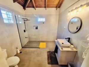 a bathroom with a shower and a toilet and a sink at TheWinterHouse in Crown Point