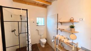 a bathroom with a shower and a toilet at Casa do Mestre in Amieira +18 photos