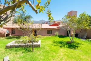 a yard with two trees and a house at La Rosada, Tilcara in Tilcara