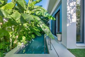 a swimming pool in a house with green plants at Nõs Luxury Rooms in Missolonghi