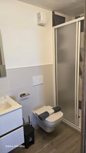 a bathroom with a toilet and a shower at B&B Island View in Parzanica +43 photos