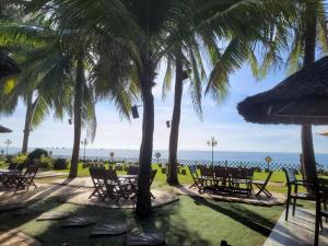 a patio with chairs and palm trees and the ocean at Tata Van in Ấp Sung Xuân