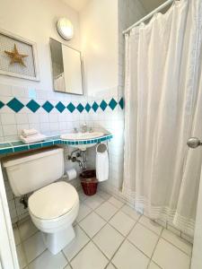 a bathroom with a toilet and a sink at The Beach Barn & Cedar Sauna in Kingsburg