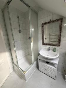 a bathroom with a shower and a sink at Im Herzen des Elbsandsteingebirges in Königstein an der Elbe +6 photos