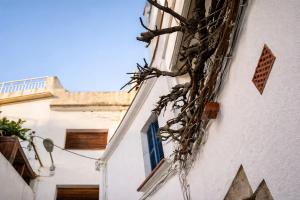 a building with plants growing on the side of it at Winahost La Llar del Mar in San Pol de Mar +7 photos