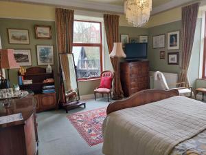 a bedroom with a bed and a tv and a window at Castle Vale House in Berwick-Upon-Tweed