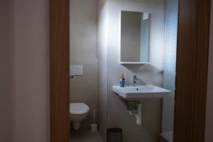 a bathroom with a sink and a toilet at Penzion nad Halou in Lázně Kynžvart