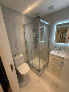 a bathroom with a shower and a toilet and a sink at Coastal Charm in Dublin