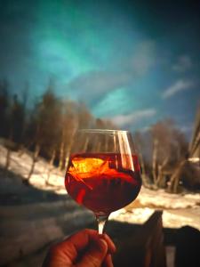 a person holding a glass of red wine at Bjørkli Lodge in Geilo