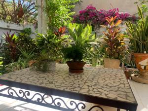 a table with potted plants on top of it at Chambre double meublée in Mbour