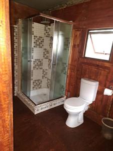 a bathroom with a toilet and a shower at Chobe Lesoma Chalets Hotel in Lesoma