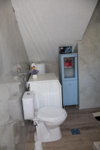 a bathroom with a white toilet in a attic at Apartmani XS in Sutomore
