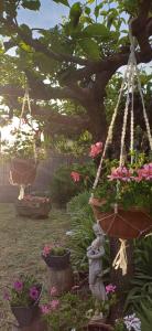 a garden with a bunch of flowers in pots at Guest Art House Aurora in Pissignano