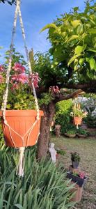 an orange pot hanging from a tree in a garden at Guest Art House Aurora in Pissignano +15 photos