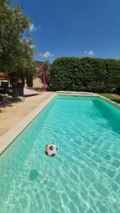 a soccer ball in the water in a swimming pool at La Cabane douillette in Aups +21 photos