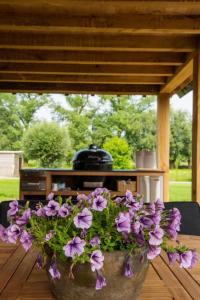 a vase filled with purple flowers sitting on a table at Vakantiehuis Vloethem in Zedelgem +10 photos