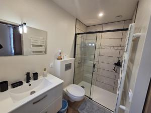 a bathroom with a shower and a toilet and a sink at La Charmante in Évian-les-Bains +5 photos