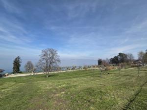 a grassy field with trees in the distance at La Charmante in Évian-les-Bains