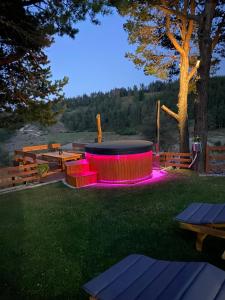 a fire pit in the grass with pink lights at Villa INDIANA Devin in Devin