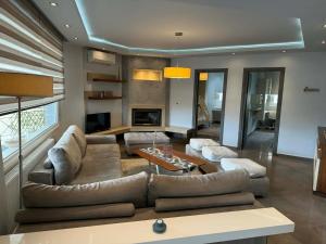 a living room with a couch and a fireplace at Tropical Apartment Hanioti in Hanioti