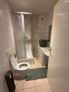a bathroom with a toilet and a shower and a sink at Lindenstraße in Aue-Bad Schlema