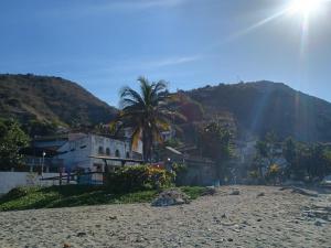 a palm tree and buildings on the beach at Casa Cerdeña in Puerto Carayaca
