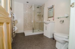 a bathroom with a shower and a toilet and a sink at Royal Lodge in Symonds Yat +50 photos