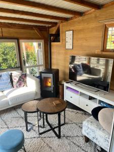 a living room with a fireplace and a tv at Veluwse Vlucht in Putten